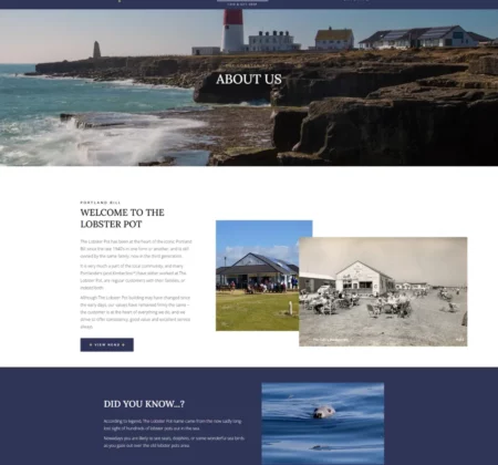 A website design featuring a captivating picture of a beach and lighthouse in Dorset, with an emphasis on SEO optimization.